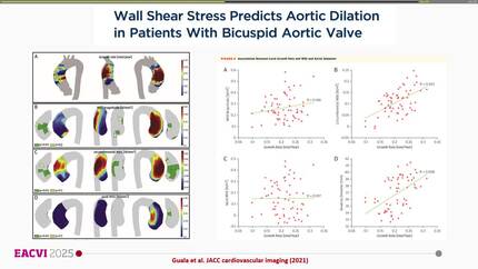 Presentation thumbnail