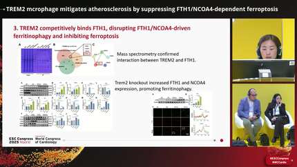 Presentation thumbnail
