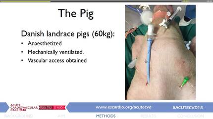 Presentation thumbnail