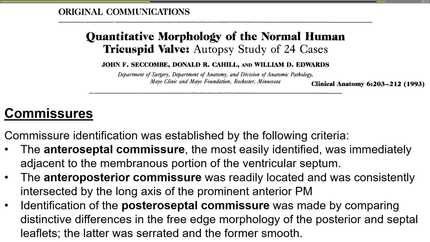 Presentation thumbnail