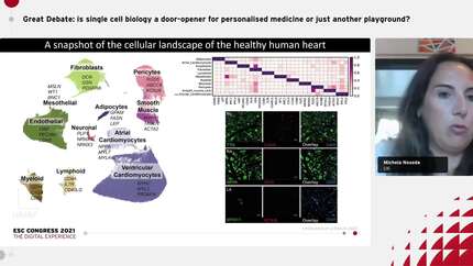 Presentation thumbnail