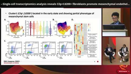 Presentation thumbnail