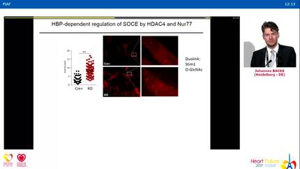 Presentation thumbnail