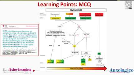 Presentation thumbnail