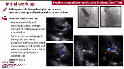 Presentation thumbnail