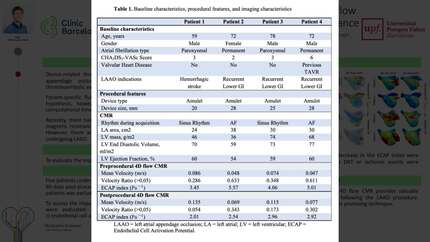 Impact of left atrial appendage occlusion in atrial flow evaluated through 4D flow cardiac magnetic resonance
