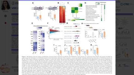 Presentation thumbnail