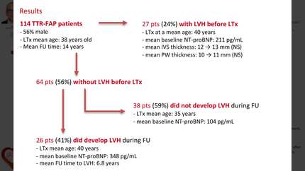 Transplanted liver, altered heart: unveiling the spectrum of cardiomyopathy post-liver transplant in TTR-FAP patients