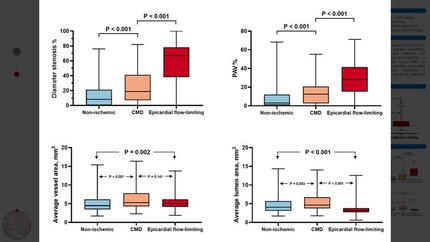 Advanced imaging to understand the relation between coronary microvascular dysfunction, coronary plaque burden, and vascular remodeling