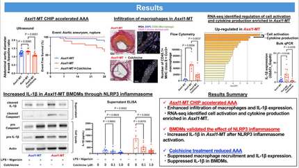 Presentation thumbnail