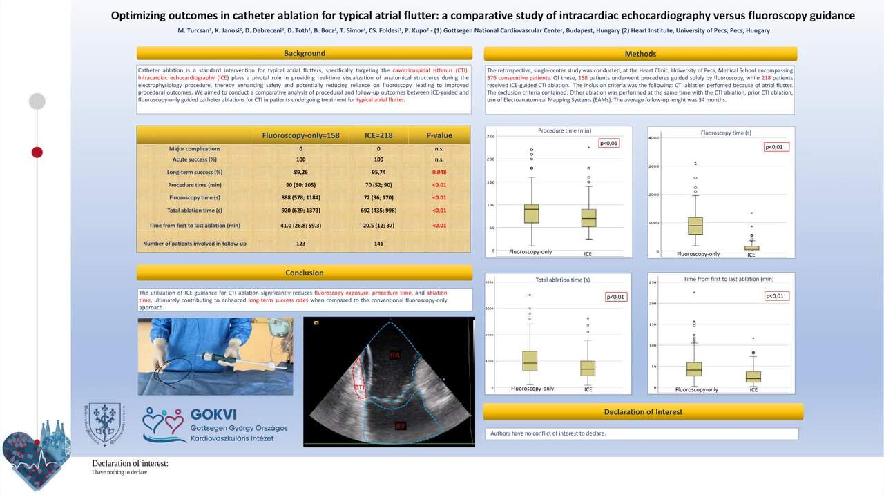 Optimizing outcomes in catheter ablation for typical atrial flutter: a comparative study of intracardiac echocardiography versus fluoroscopy guidance