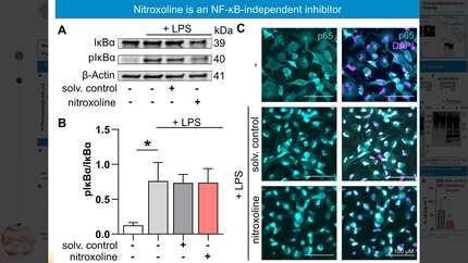 Presentation thumbnail