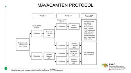Presentation thumbnail