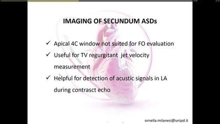 Presentation thumbnail
