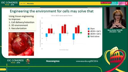 Presentation thumbnail