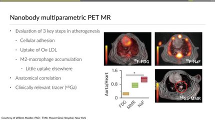 Presentation thumbnail