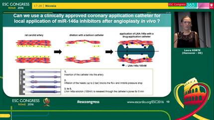 Local inhibition of microRNA 146a using a clinically applicable approach attenuates neointima formation