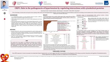 CRIP1: Role in the pathogenesis of hypertension by regulating interactions with cytoskeletal proteins