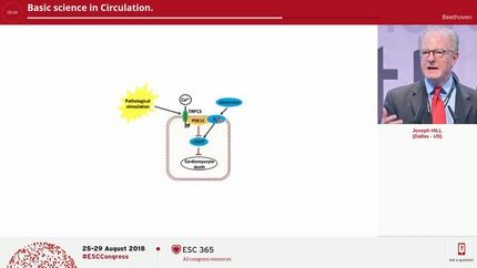 Presentation thumbnail