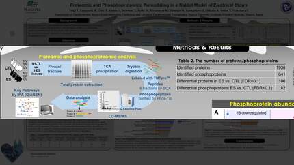 Presentation thumbnail