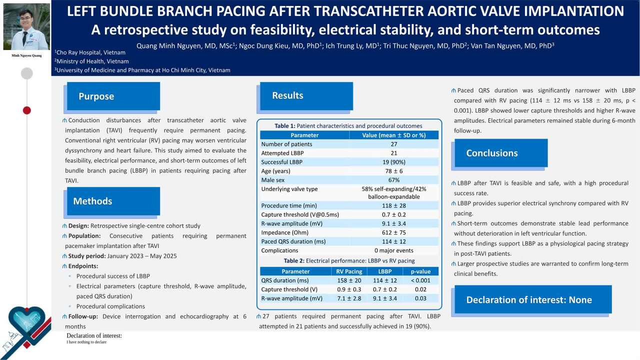 Left bundle branch pacing after transcatheter aortic valve implantation: a retrospective study on feasibility, electrical stability, and short-term outcomes