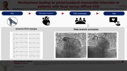 Presentation thumbnail