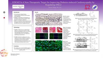 Presentation thumbnail