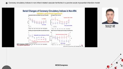 Coronary circulatory indices in non-infarct related vascular territories in a porcine acute myocardial infarction model