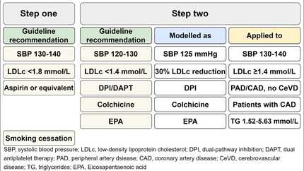 Impact of the stepwise approach to cardiovascular disease prevention in patients with established ASCVD from the 2021 ESC Prevention Guideline