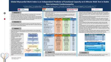 Global myocardial work index is an independent predictor of functional capacity on 6-minute walk test in stable non-ischaemic cardiomyopathy