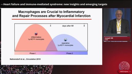 Frontiers in anti-inflammatory therapies