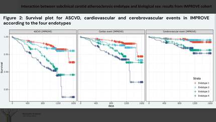 Presentation thumbnail