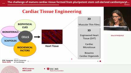 The challenge of mature cardiac tissue formed from pluripotent stem cell-derived cardiomyocytes.