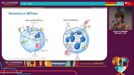 Presentation thumbnail