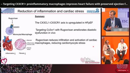 Immune-cardiac crosstalk and inflammation in cardiovascular disease 