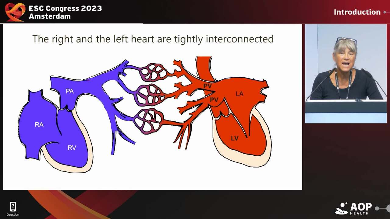 Presentation thumbnail