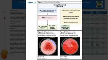 Presentation thumbnail