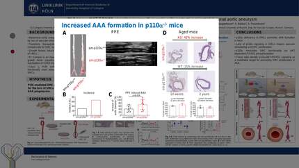 Presentation thumbnail