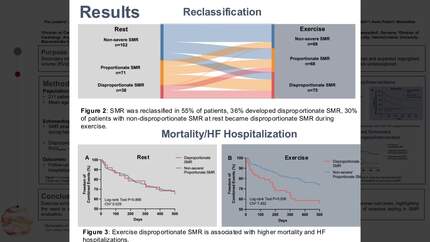 Presentation thumbnail