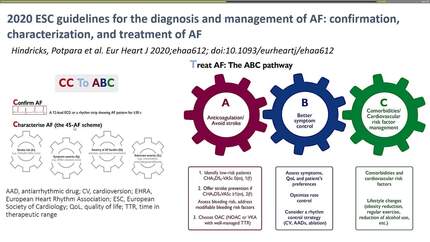 Atrial fibrillation and stroke: mechanisms and solutions