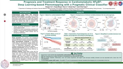 Prognosis and treatment response in cardiometabolic HFpEF: deep learning-based phenomapping with a pragmatic clinical classifier