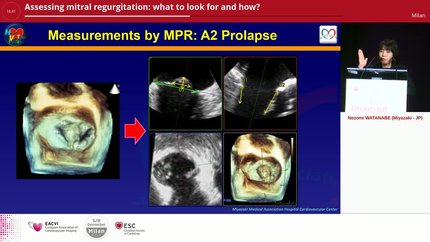 Presentation thumbnail