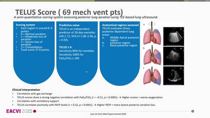 Presentation thumbnail