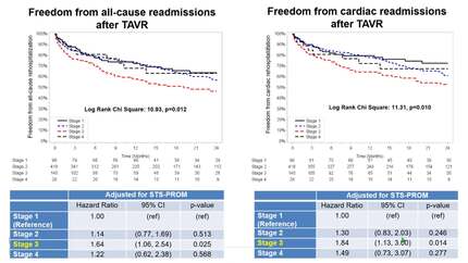 Impact of cardiac damage extent on transcatheter aortic valve replacement outcome - a validation of a new staging system