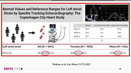 Presentation thumbnail