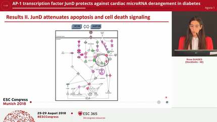 AP-1 transcription factor JunD protects against cardiac microRNA derangement in diabetes