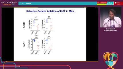 Presentation thumbnail