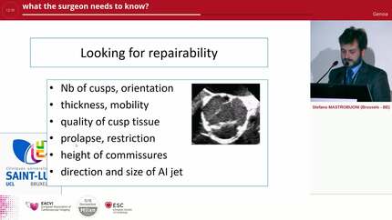 Presentation thumbnail