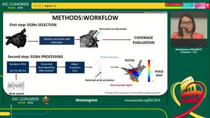 Preliminary results of an independent approach for basket catheter electrogram processing to detect rotors in atrial fibrillation