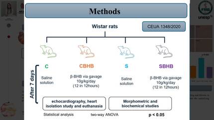 Presentation thumbnail